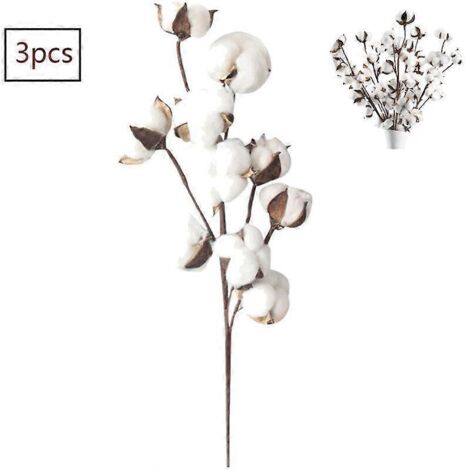 Branches de coton séché naturel (22 pouces, 10 têtes) - Fleurs artificielles de ferme - Idéales pour la décoration de compositions florales, à faire soi-même, pour la maison et les fêtes. (1/5)