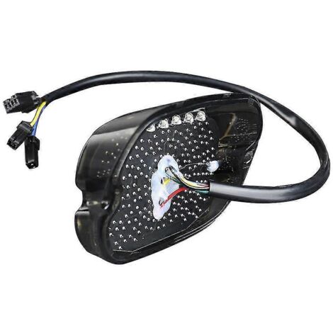 Feu arrière de plaque d'immatriculation 12 V pour moto Sportster XL883 1200 Touring Roaddyna F (1/5)