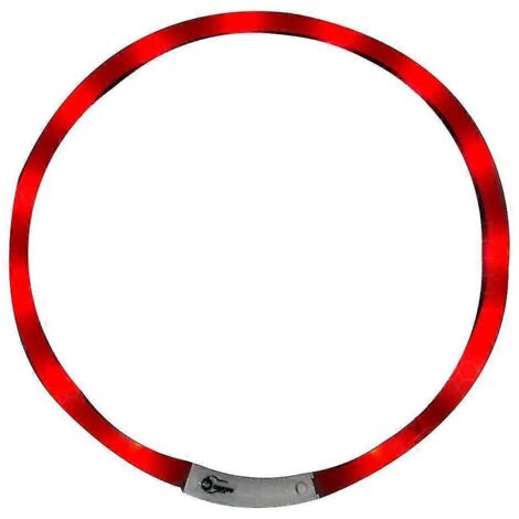 Collier LED rechargeable USB pour chiens de petite, moyenne et grande taille, longueur ajustable de 70 cm. (1/5)