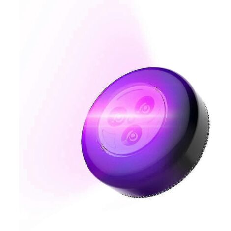 Lampe UV portable noire, lampe de nettoyage ultraviolette de poche avec dos (1/3)