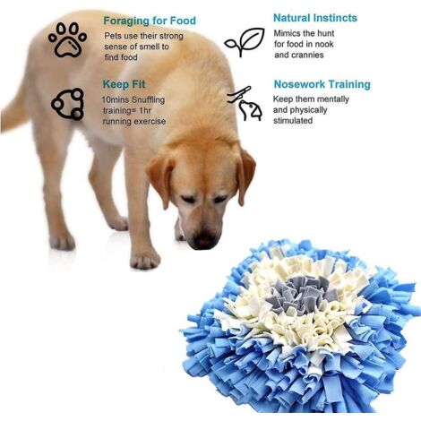 Tapis d'éveil olfactif pour chien, couverture d'entraînement, tapis de nourrissage pour chiens et chats (1/3)