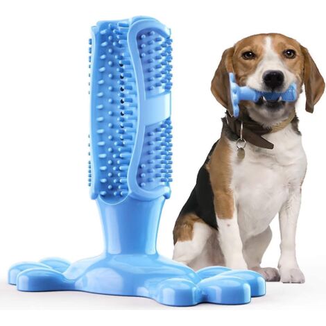 Brosse à dents pour chien en caoutchouc naturel, jouet à mâcher pour le nettoyage des dents, les soins dentaires et l'éducation du chiot (1/5)