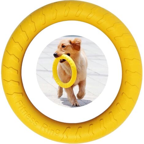 Anneau de fitness pour chien, anneau de morsure pour chien, anneau d'entraînement pour chien, jeu d'agilité extérieur pour chien de compagnie (1/5)