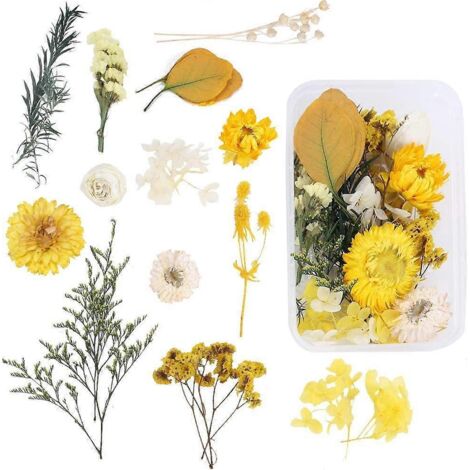 Kit de fleurs séchées naturelles à faire soi-même avec boîte de rangement : marguerite jaune, hortensia, eucalyptus (1/4)