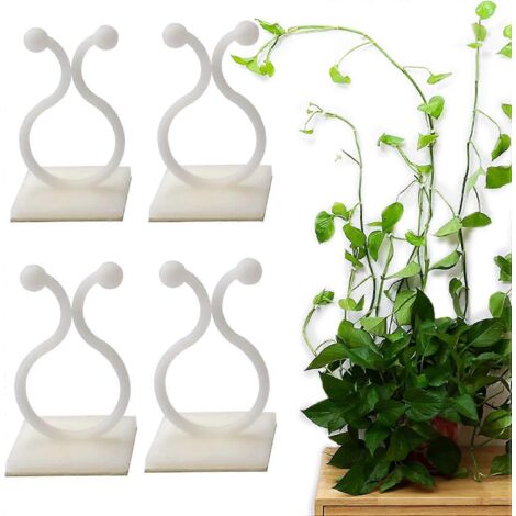 Clips de fixation pour plantes grimpantes murales - 50 pièces - Clips pour fleurs et plantes grimpantes (1/3)