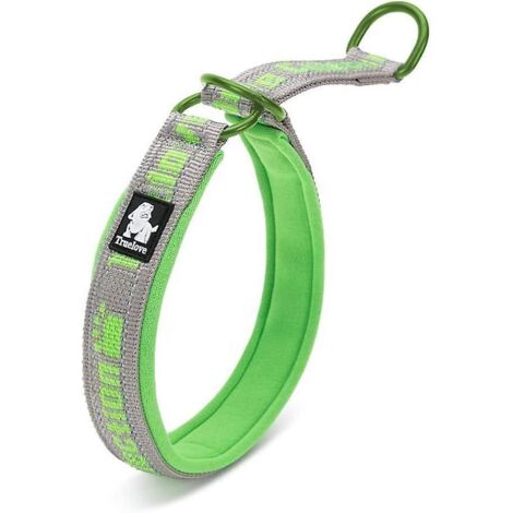 Collier pour chien rembourré en nylon souple, respirant, avec bandes réfléchissantes, ajustable. (1/5)