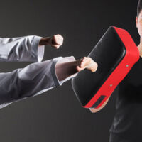 Punching Bag for Taekwondo & Boxing - Hand and Feet Training Shield (Red)