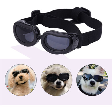 Schutzbrille für Hunde – UV-beständig, wasserdicht und winddicht für kleine Hunde und Welpen