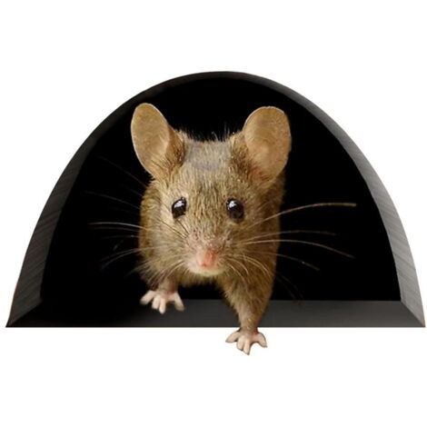 Niedlicher Maus-Wandaufkleber – Küchendeko – Kreative Wohndeko (1/5)