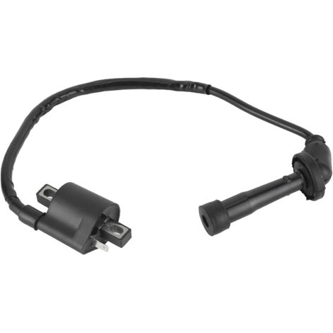 Zündspule für Yamaha Grizzly 660 YFM660 2002-2008 Quad