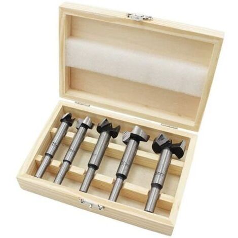 Csparkv – Coffret de 5 mèches à façonner pour bois – Diamètres 15/20/25/30/35 mm – Acier HSS pour trous propres à fond plat – Pointe de centrage (1/5)