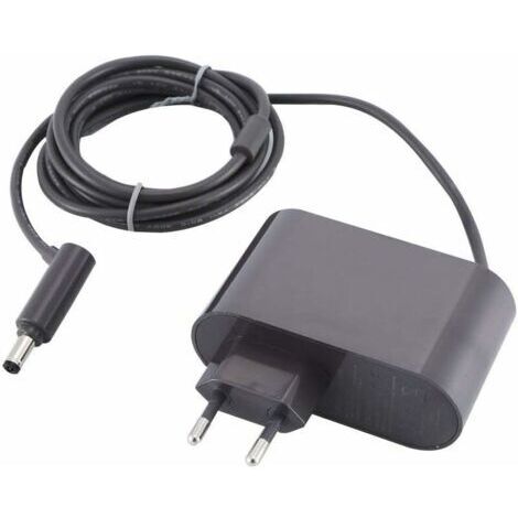 Chargeur pour Dyson V6 V7 V8 SV03 SV04 SV05 SV06 SV07 Absolute/Motorhead/Animal Aspirateur Chargeur,26.1V Batterie Chargeur pour Dyson DC61 DC62 DC58 DC59 DC60 DC74Aspirateur (1/5)