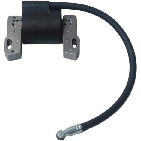 Beehive Filter Remplacer la bobine d'allumage pour Briggs & Stratton Magneto Armature 495859 491312 490586 492341 Nouveau (1/5)