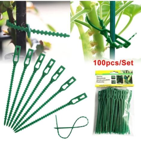 Fafeicy Lot de 100 attaches arbre réglables en plastique - liens jardin flexibles pour soutenir les plantes roses (1/4)