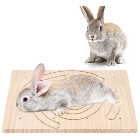 Griffoir - Poteau - Griffoir En bois naturel griffes grattant planche pour petit animal hérisson écureuil lapin TUN36 (1/4)