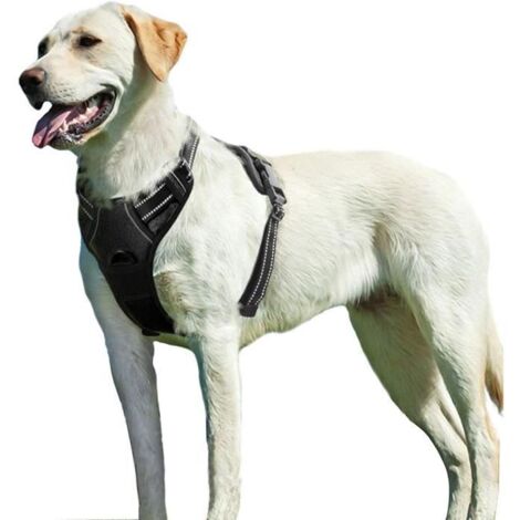 Harnais Chien L, Harnais Anti Traction pour Chien, Facile à Mettre, avec Poignée Contrôle, Arnet pour Chien Réfléchissant, (1/4)