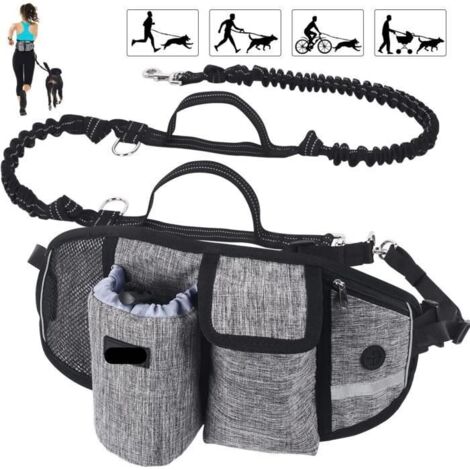 Laisse 1 Chien Mains Libres hydratation Absorption de Choc, Confortable, pochette téléphone ...Idéal pour canicross , Course à Pied