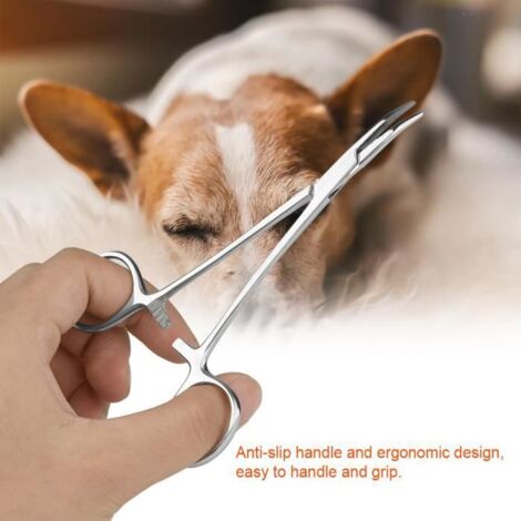 Pince à épiler en acier inoxydable pour chien, oreille de chat, pince de nettoyage à pointe incurvée -YES