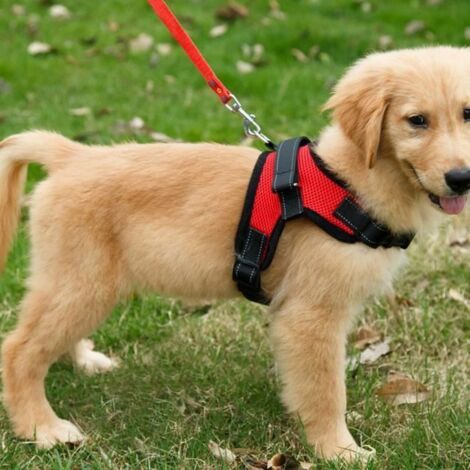 [S] Harnais chien anti traction, Harnais de securite pour chien, Réfléchissant Gilet pour Randonnée Trajet Voiture Rouge (1/4)