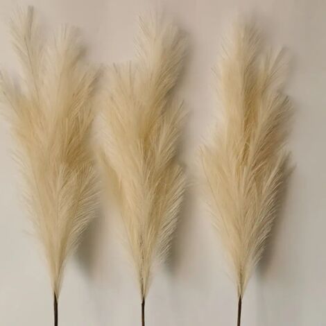 Fleurs de roseau séchées naturelles de 110 cm pour la décoration de jardin, de mariage, de maison et de fête, beige. (1/4)
