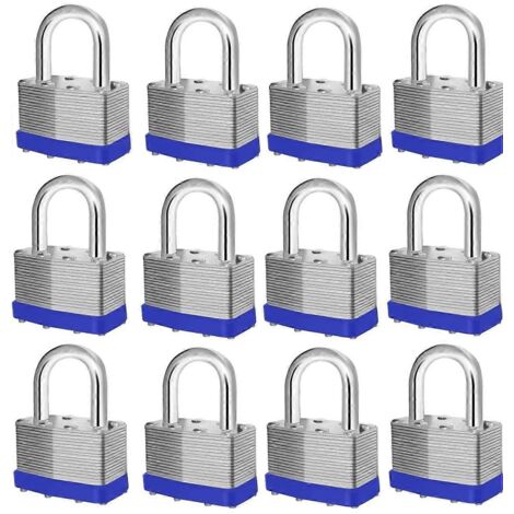 12 cadenas avec la même clé, crochet de 40 mm, boîte en acier trempé, 24 clés, adaptés à la protection de sécurité dans les abris de jardin, les clôtures, les casiers, les gymnases et autres lieux.