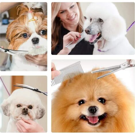 Kit de ciseaux de toilettage pour animaux avec tondeuse pour chien à tête incurvée - rose (1/3)