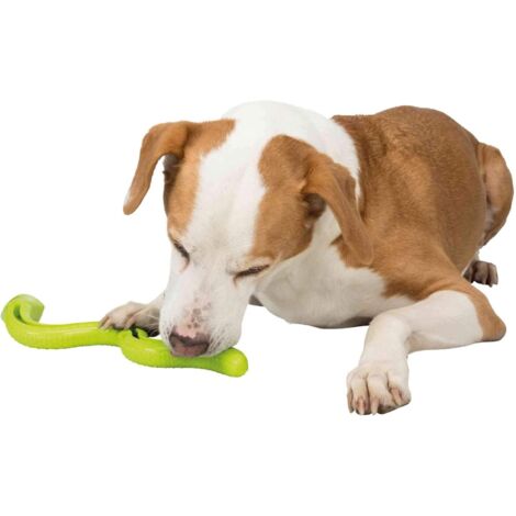 Serpent à friandises puissant, en TPR, 41 cm, vert, peut être rempli de friandises, de jouets à mâcher et de beurre pour votre chien, lui procurant une joie sans fin. (1/5)