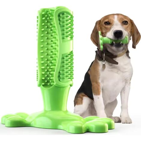 Bâtonnet à mâcher pour chien, en forme de brosse à dents. Idéal pour les chiens qui mâchent vigoureusement, ce jouet interactif et thérapeutique est suffisamment robuste pour occuper les chiots (vert, (1/3)