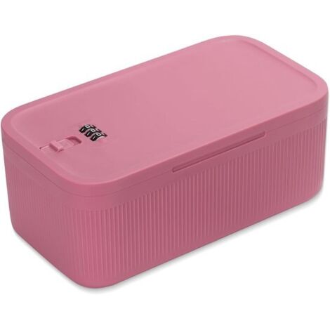 Petite boîte verrouillable - Opslagbox met Combinatieslot - Draagbare Veiligheidsbox voor Geneesmiddelen - Mobiele Telefoon - Snacks - Mini Kluis voor Koelkast - Kantoor en Reizen - 23,5 x 12,7 x 9,2
