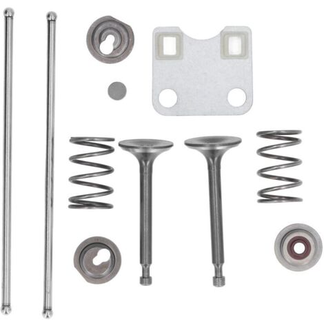 Kit de Protection pour Culasse Compatible avec Honda GX160 GX200 5.5HP 6.5HP Moteur Pièces de Rechange Incluant Ressorts de Soupapes--Crezuo