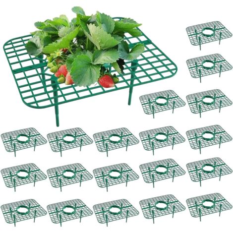 Juego de 10 soportes cuadrados para fresas, soportes para fresas, soportes para bayas de jardín, estacas de soporte para plantas de jardín, soporte para plantas, soporte para fresas, soporte limpio pa (1/5)