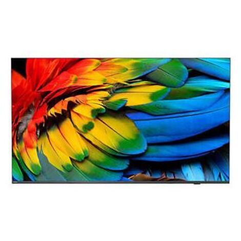 Televisore professionale PHILIPS 65HFL6214U - 65 pollici - 2160p - DVB-C (1/2)
