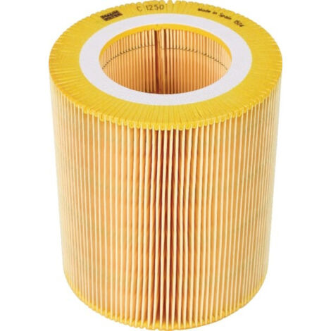 FILTRE À AIR C1250 MANN (1/2)