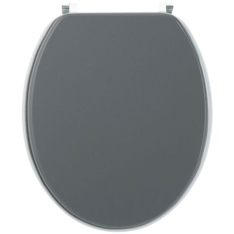 Abattant WC DECO Colors anthracite et gris mat - Wirquin Pro 20719739 (1/7)