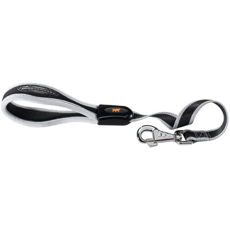 Ferplast ERGOCOMFORT G Laisse en nylon avec poignée ergonomique - différentes tailles et couleurs. Variante GM25/55 - Misure: 25 mm x L 55 cm - Argent (1/5)