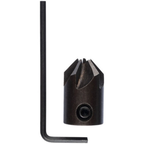 Fraise à surfacer Bosch pour mèches hélicoïdales à bois 5 x 16 mm - 2608585739 (1/5)
