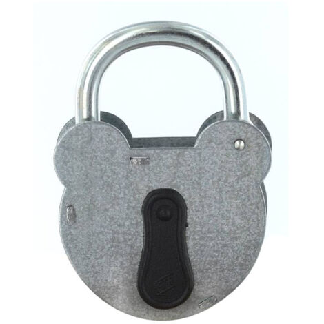 Cadenas FTH 2493 à clé, corps en acier galvanisé de 55mm, anse en acier zingué de Ø 6,5mm, 2 clés à gorges - FTH (1/5)