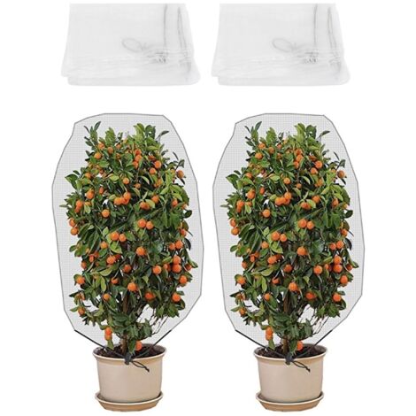 2 Filets Barrière Anti-Insectes pour Fruits, Plantes et Arbres – Protection pour Serre et Jardin,de DEBUNS