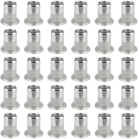 GABRIELLE 100 Pièces M6 Écrou À Sertir À Tête Plate, Écrous À Riveter Acier Inoxydable, Insert Fileté À Tête Plate, Écrou À Sertir M6, Rivet Écrou M6 (1/6)