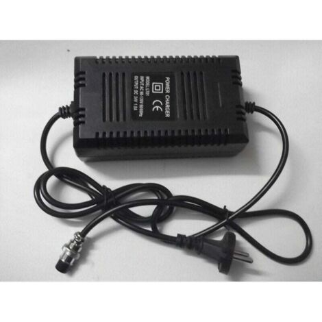 Chargeur de Batterie pour Scooter Électrique - 36V, 14AH, Adapté aux Scooters Électriques