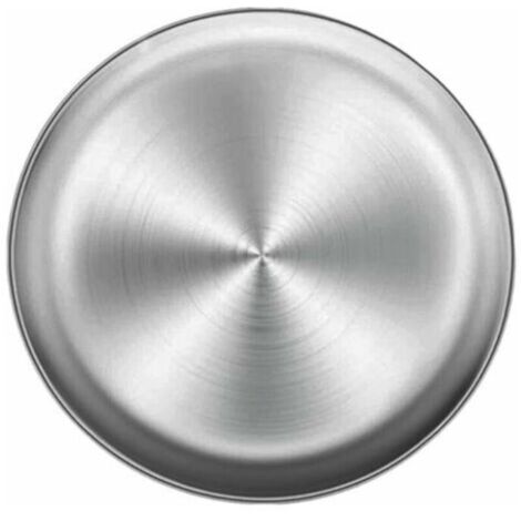 Plat à Pizza en Acier Inoxydable. Plaque de Cuisson à Pizza Ronde Plateau de Four à Pizza en Acier Inoxydable. Plateau de Rangement Multifonctionnel Rond en métal Plateau de Cuisson à Pizza 26 cm