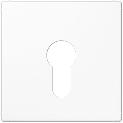 Placa central para mecanismo llave ejecución plana blanco - JUNG