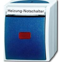 Busch-Jaeger Interruptor basculante de control Calefacción Balancín, interruptor de 2 polos con lámpara de neón gris/azul verdoso - ocean® (2601/2 SKWNH-53), 2CKA001085A1610