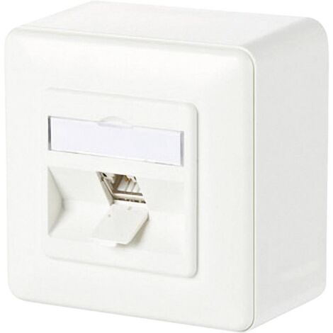 BTR, 130B11D10002-E, PRESA DI RETE DA PARETE MODULO C6A, 1 PORTA, 180°M, COLORE: BIANCO (1/2)