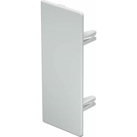 OBO Bettermann Terminale 60x150mm polivinilcloruro bianco puro RAL 9010, 6193323
