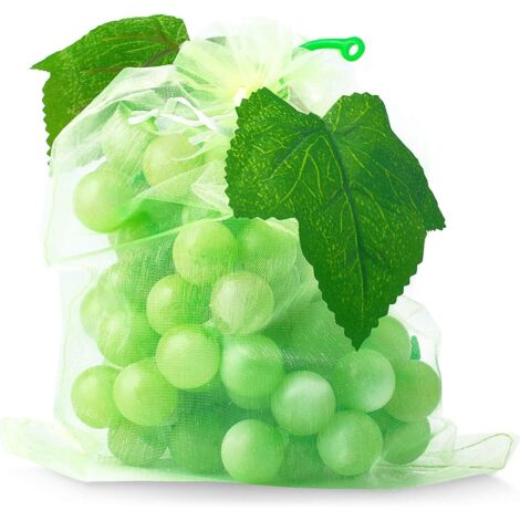 100 Sac Protection Fruits Sacs Filets Protection des Grappes de Raisins Contre Les Oiseaux et Insectes Guêpes Frelons 30 x 20 cm (1/5)