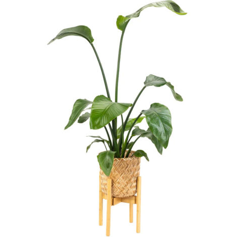 Support à fleurs en bois NEST (1/4)