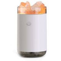 Humidificateur d'air, 260ml USB Humidificateur Portable Mini Humidificateur Portable Humidificateur d’Air Maison USB Humidificateur d’Air Chambre Silencieux pour Auto Maison Bureau Chambre