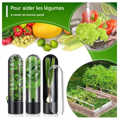 Lot de 4 conservateurs d'herbes aromatiques et de coriandre noir et blanc, design innovant, anti-écrasement, étanches et écologiques pour le rangement au réfrigérateur (1/5)