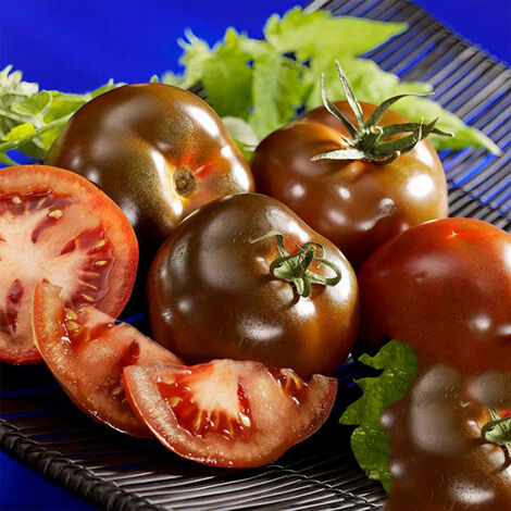 100 graines de tomate noire steak, riches en anthocyanes, produisent un fruit aigre-doux à la fois ornemental et comestible (1/5)